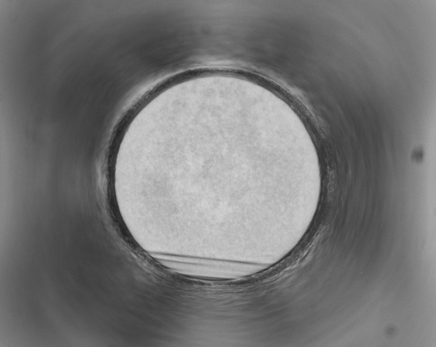 X0000116381319201001131800