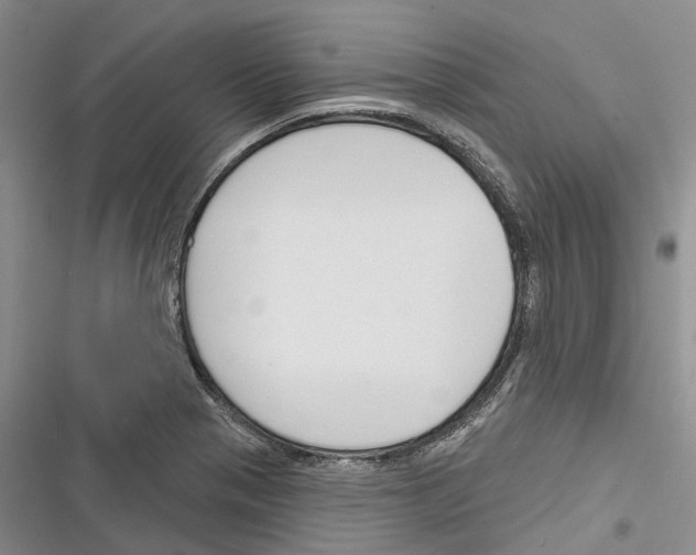 X0000116381321201001131800