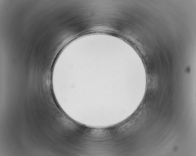 X0000116381322201001131800