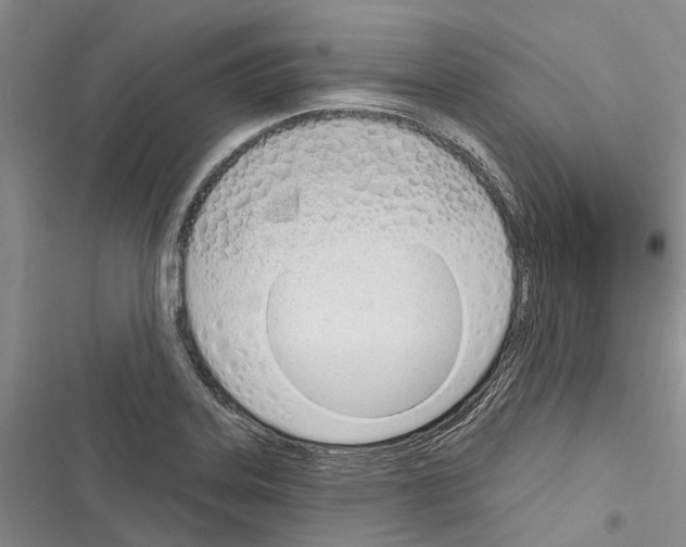 X0000116381323201001131800