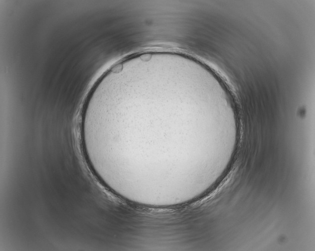 X0000116381325201001131800