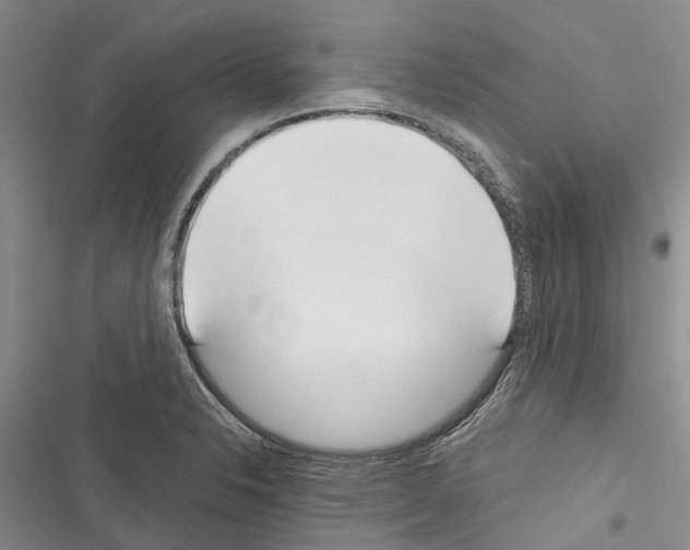 X0000116381326201001131800