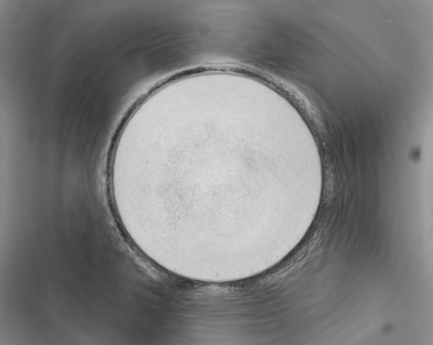 X0000116381327201001131800