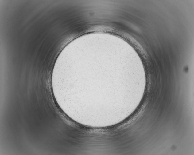 X0000116381329201001131800