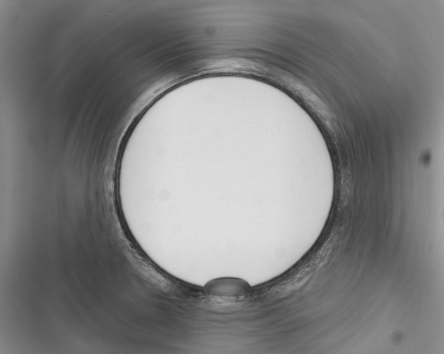 X0000116381330201001131800