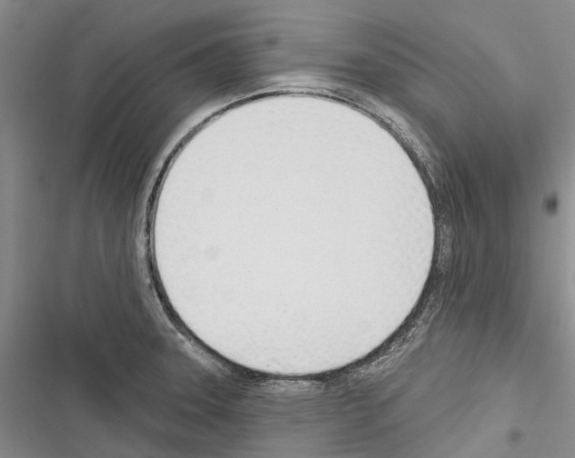 X0000116381331201001131800