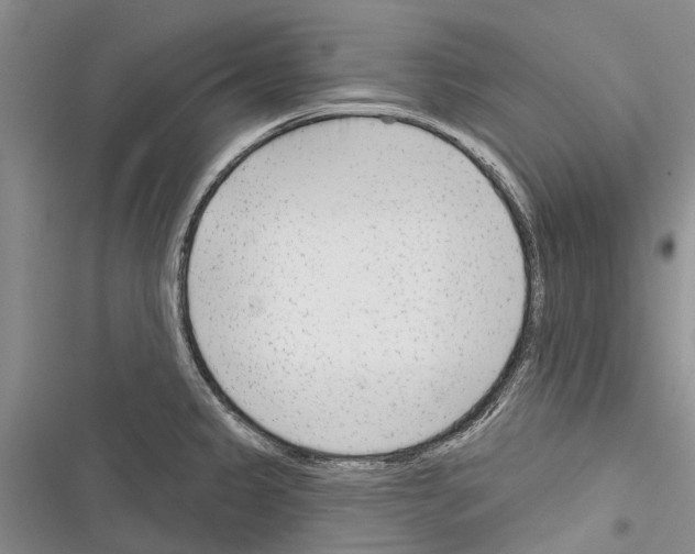 X0000116381333201001131800