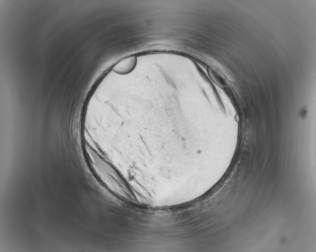 X0000116381334201001131800