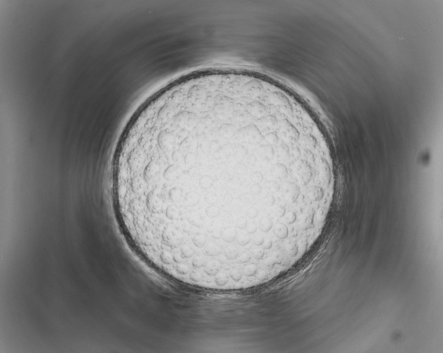 X0000116381335201001131800