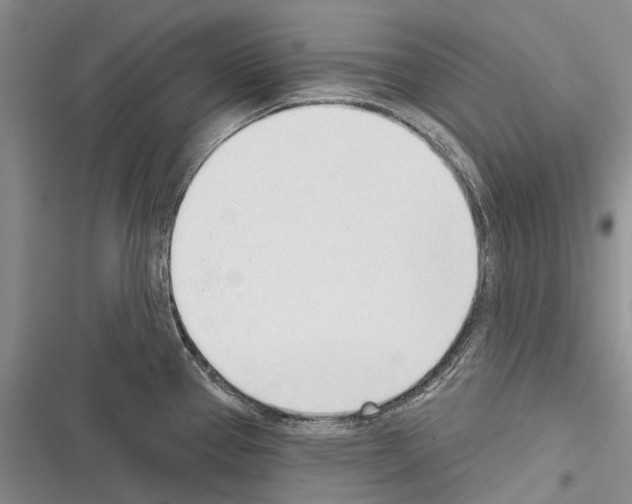 X0000116381337201001131800