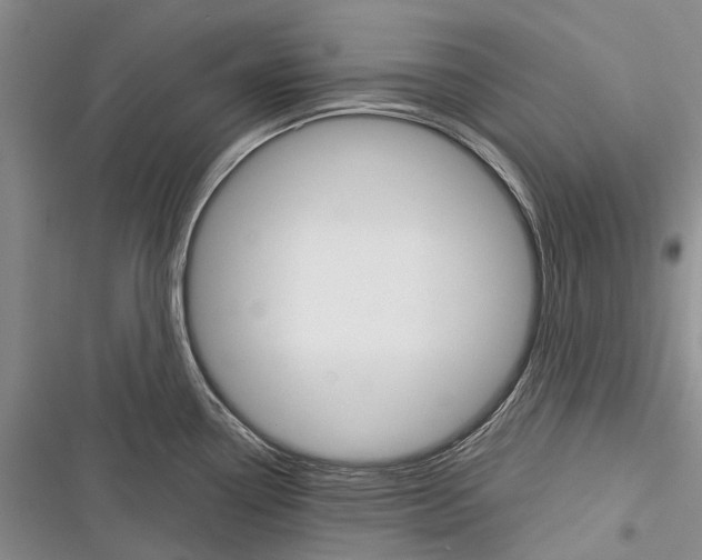 X0000116381338201001131800