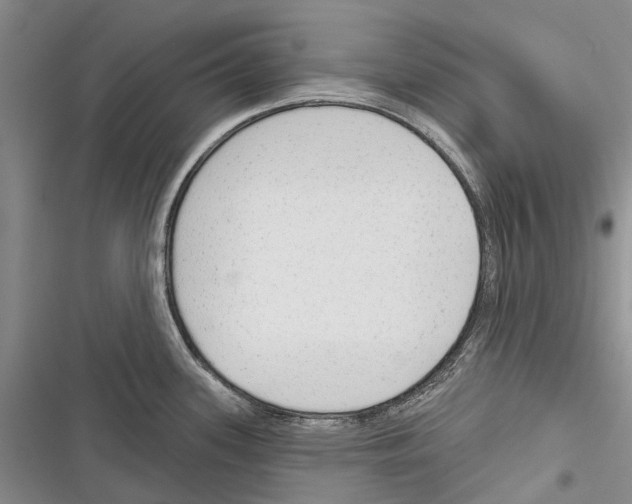 X0000116381339201001131800