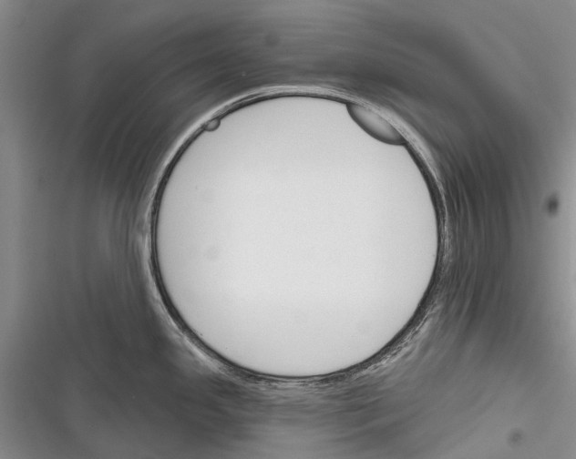 X0000116381341201001131800