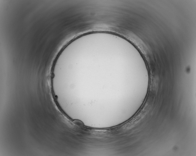 X0000116381342201001131800