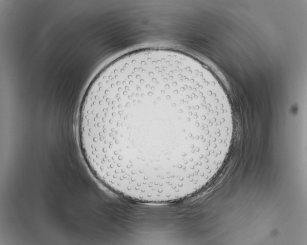 X0000116381343201001131800