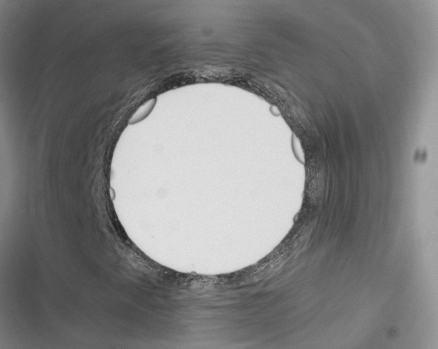 X0000116381345201001131800