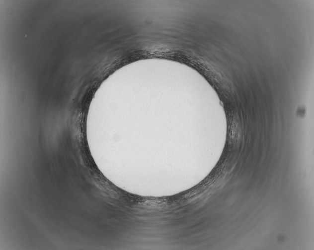 X0000116381346201001131800