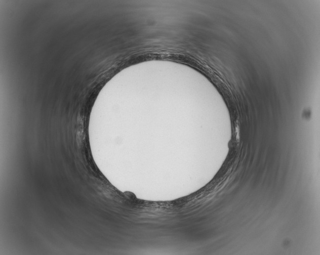 X0000116381347201001131800