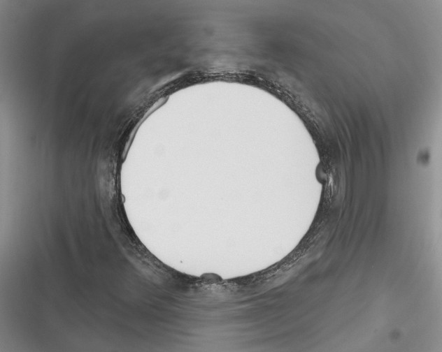 X0000116381348201001131800