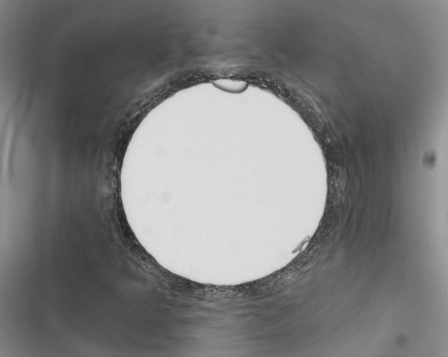 X0000116381349201001131800