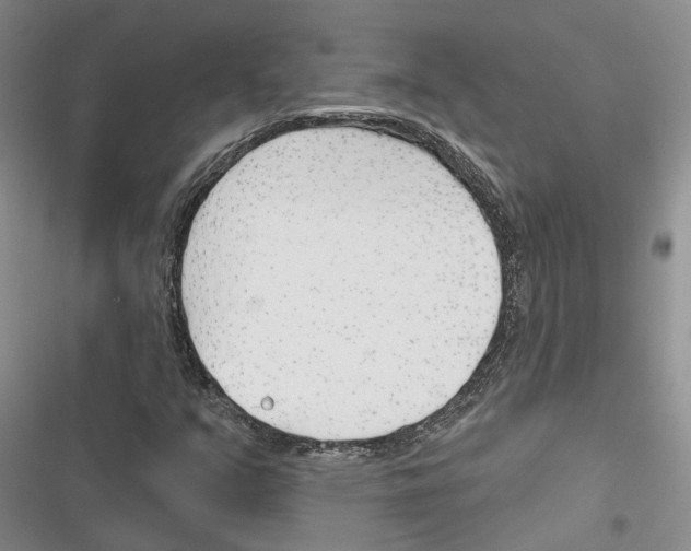 X0000116381351201001131800