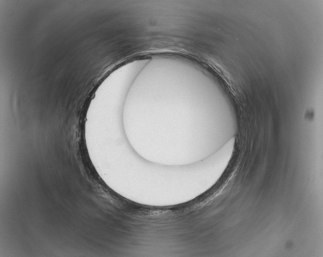 X0000116381353201001131800