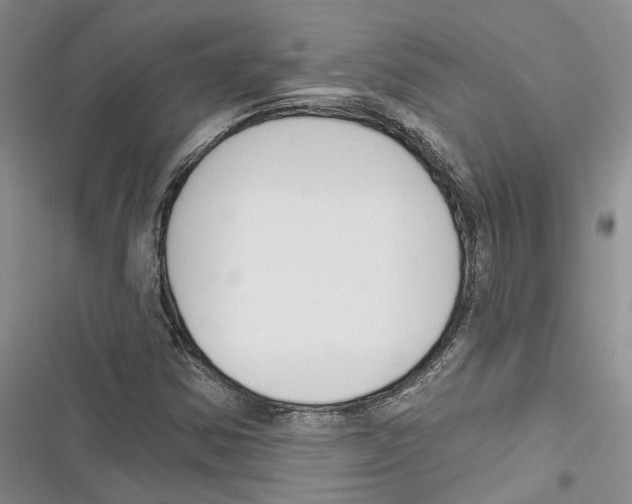 X0000116381354201001131800