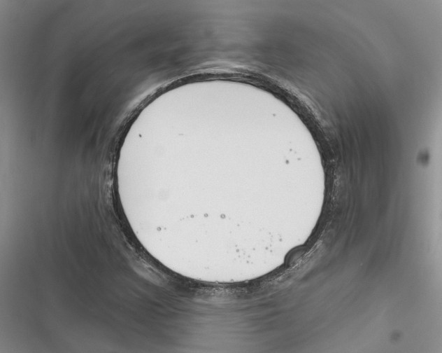 X0000116381355201001131800