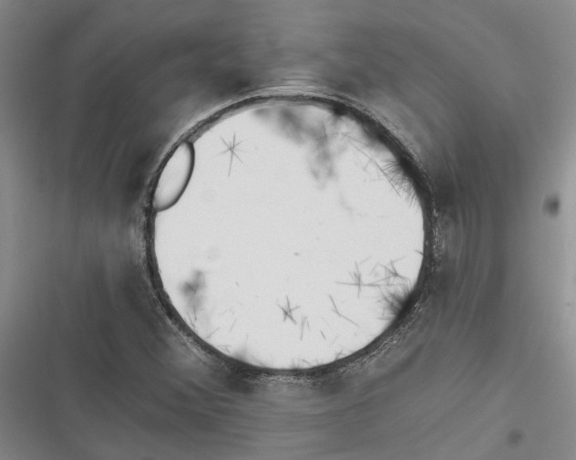 X0000116381356201001131800