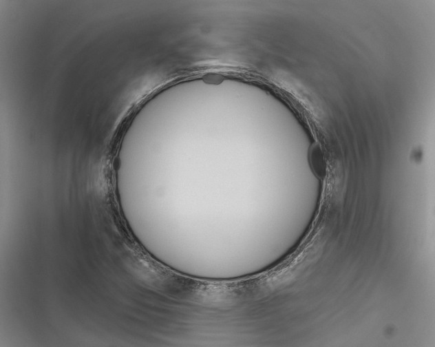 X0000116381357201001131800