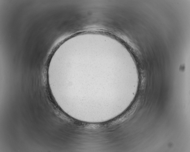 X0000116381358201001131800