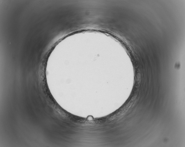 X0000116381359201001131800
