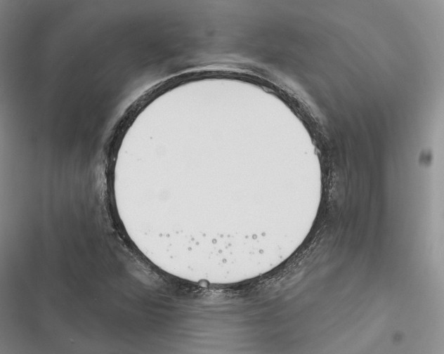 X0000116381360201001131800