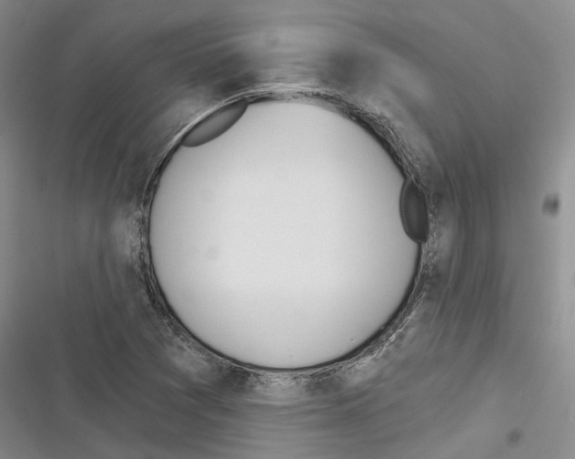 X0000116381361201001131800