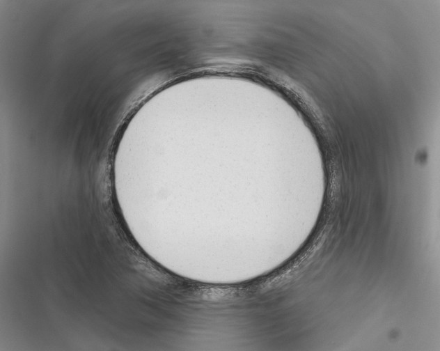 X0000116381362201001131800