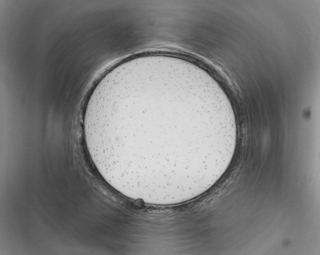 X0000116381363201001131759