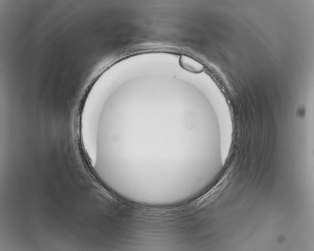 X0000116381365201001131759