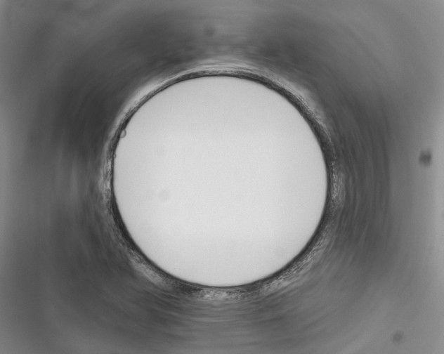 X0000116381366201001131759