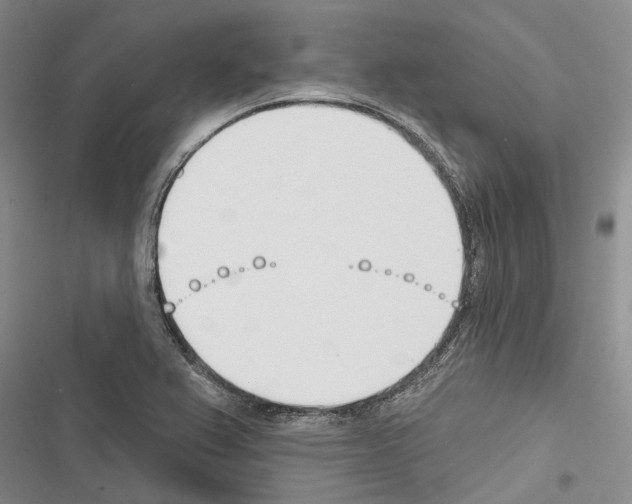 X0000116381367201001131759