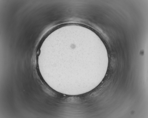 X0000116381368201001131759
