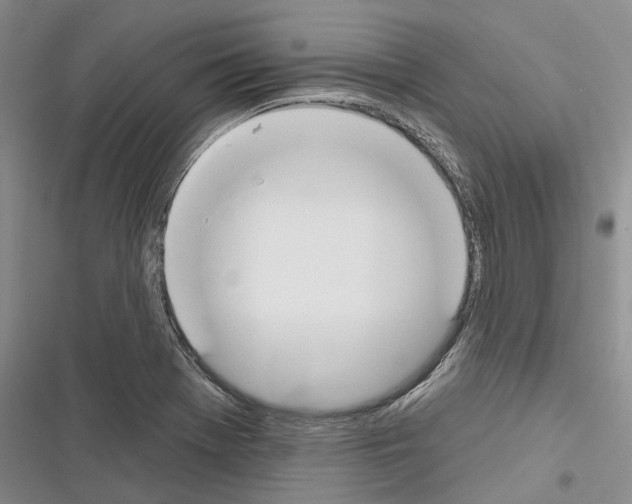 X0000116381369201001131759