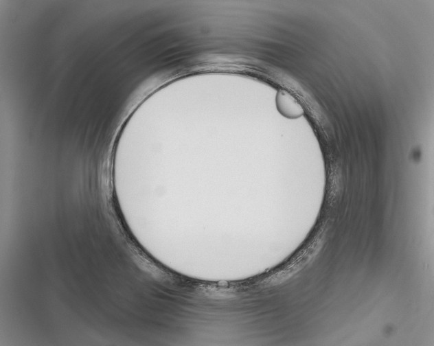 X0000116381370201001131759