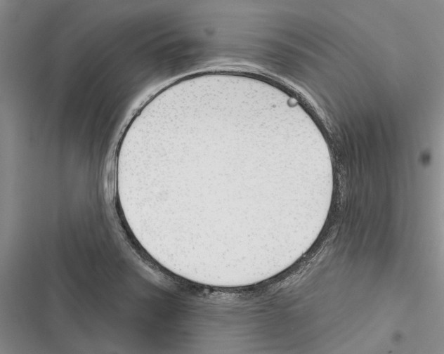 X0000116381371201001131759
