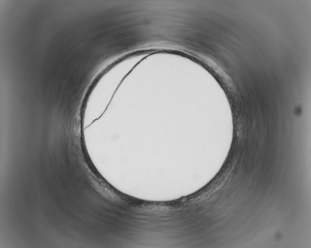 X0000116381372201001131759