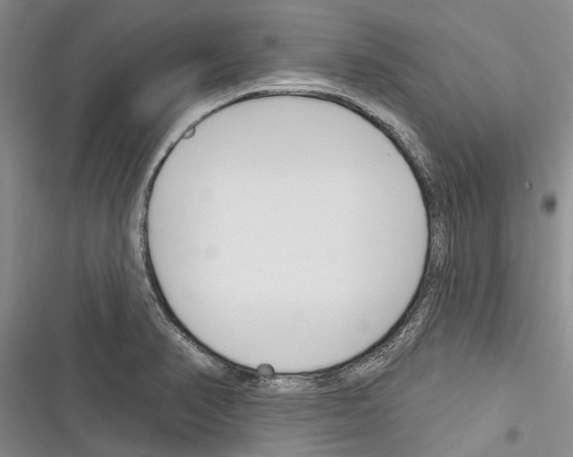 X0000116381374201001131759