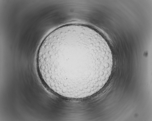 X0000116381375201001131759