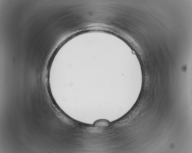 X0000116381376201001131759