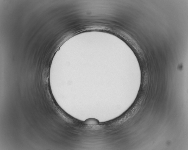 X0000116381377201001131759