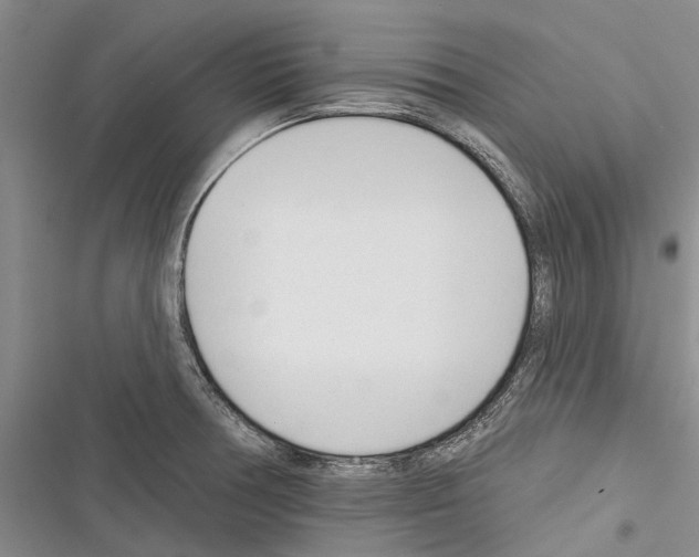 X0000116381378201001131759