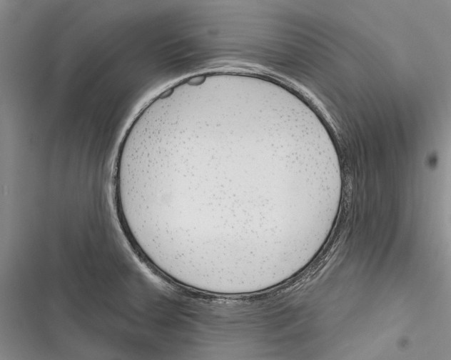 X0000116381379201001131759